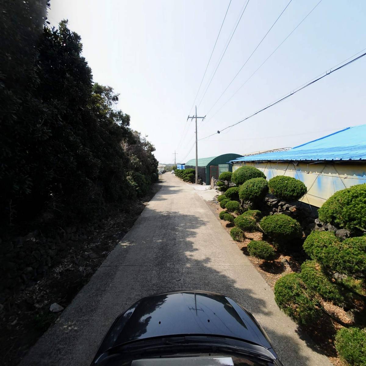 호창농장_4