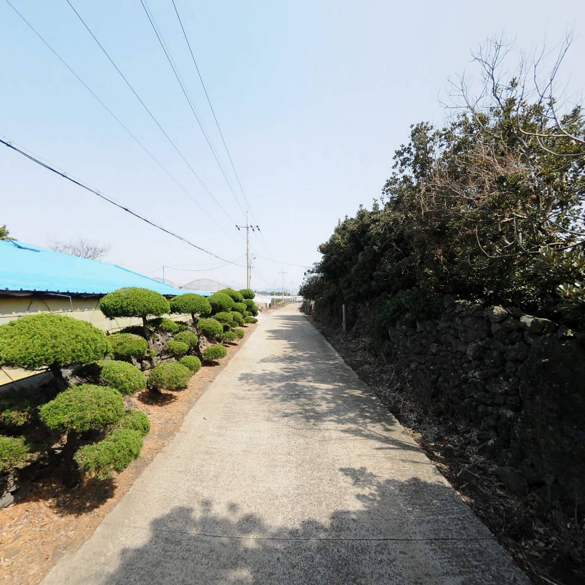 호창농장_2