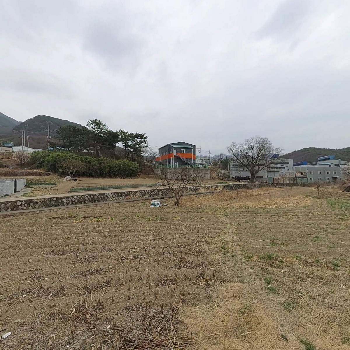 하이코더_3