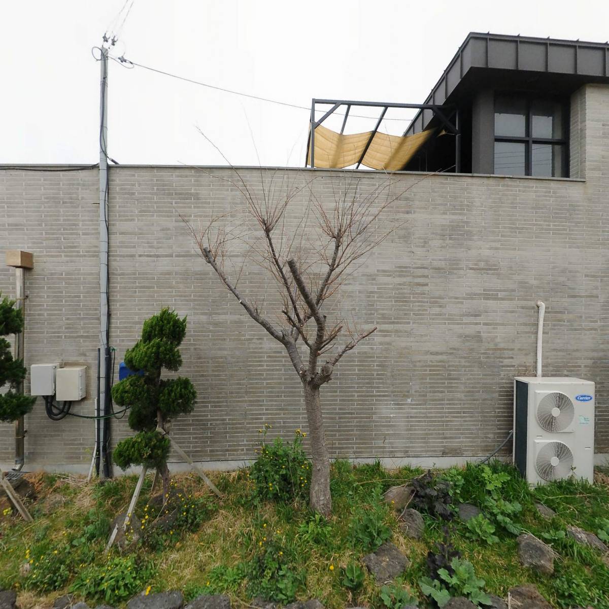 광성호_3