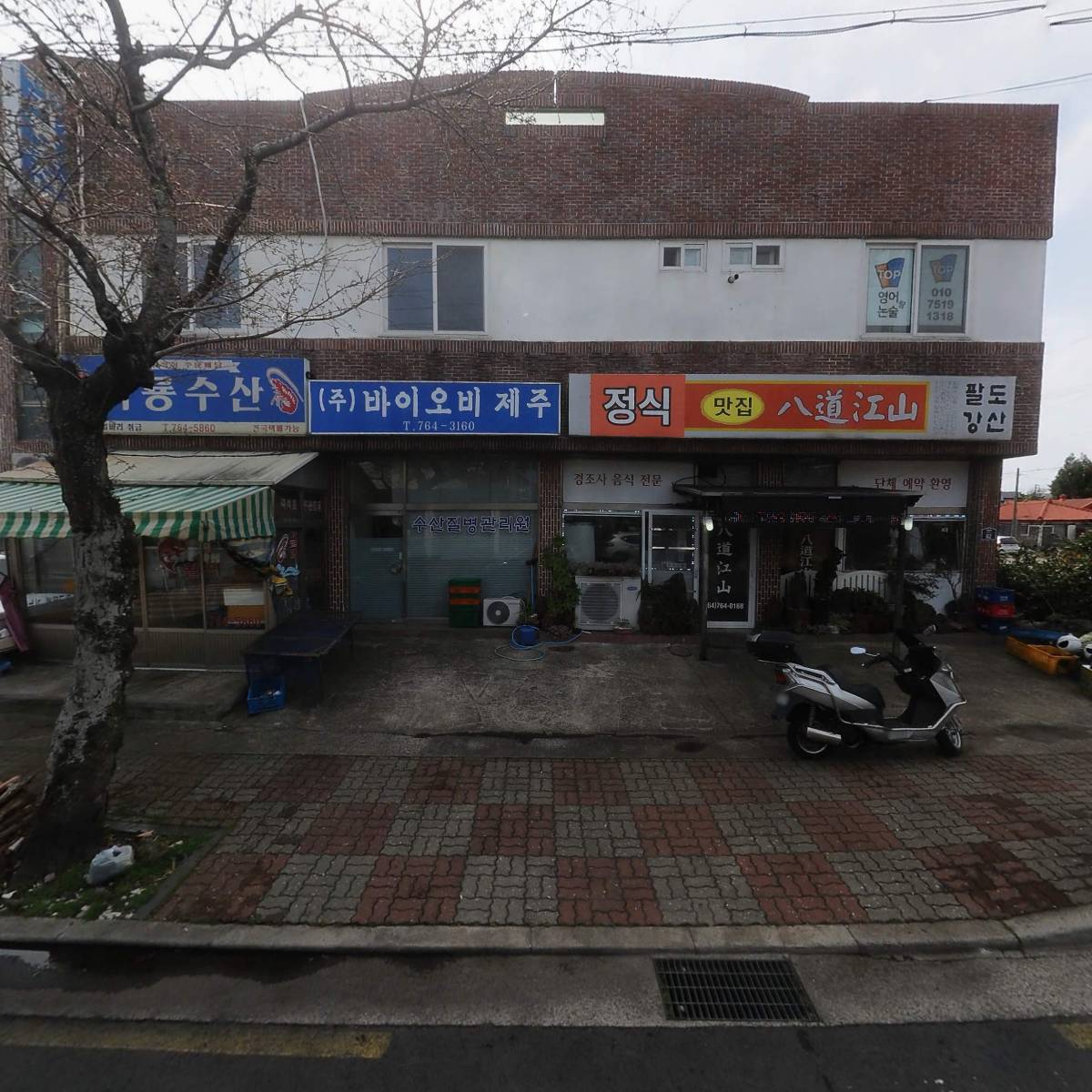 신팔도강산