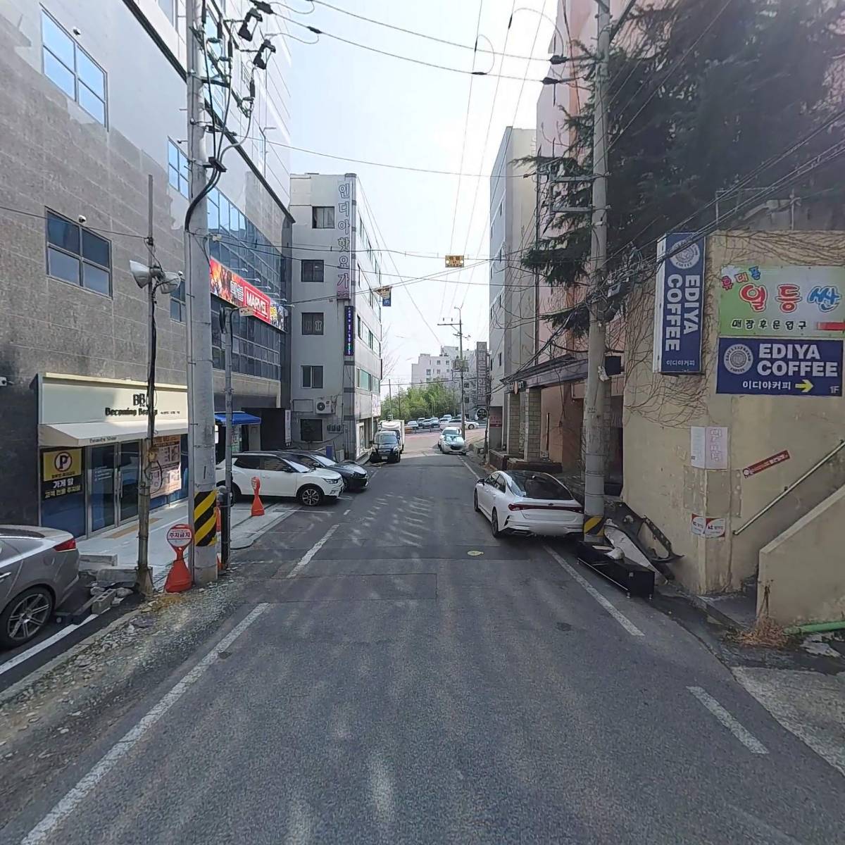 해바라기문구_2