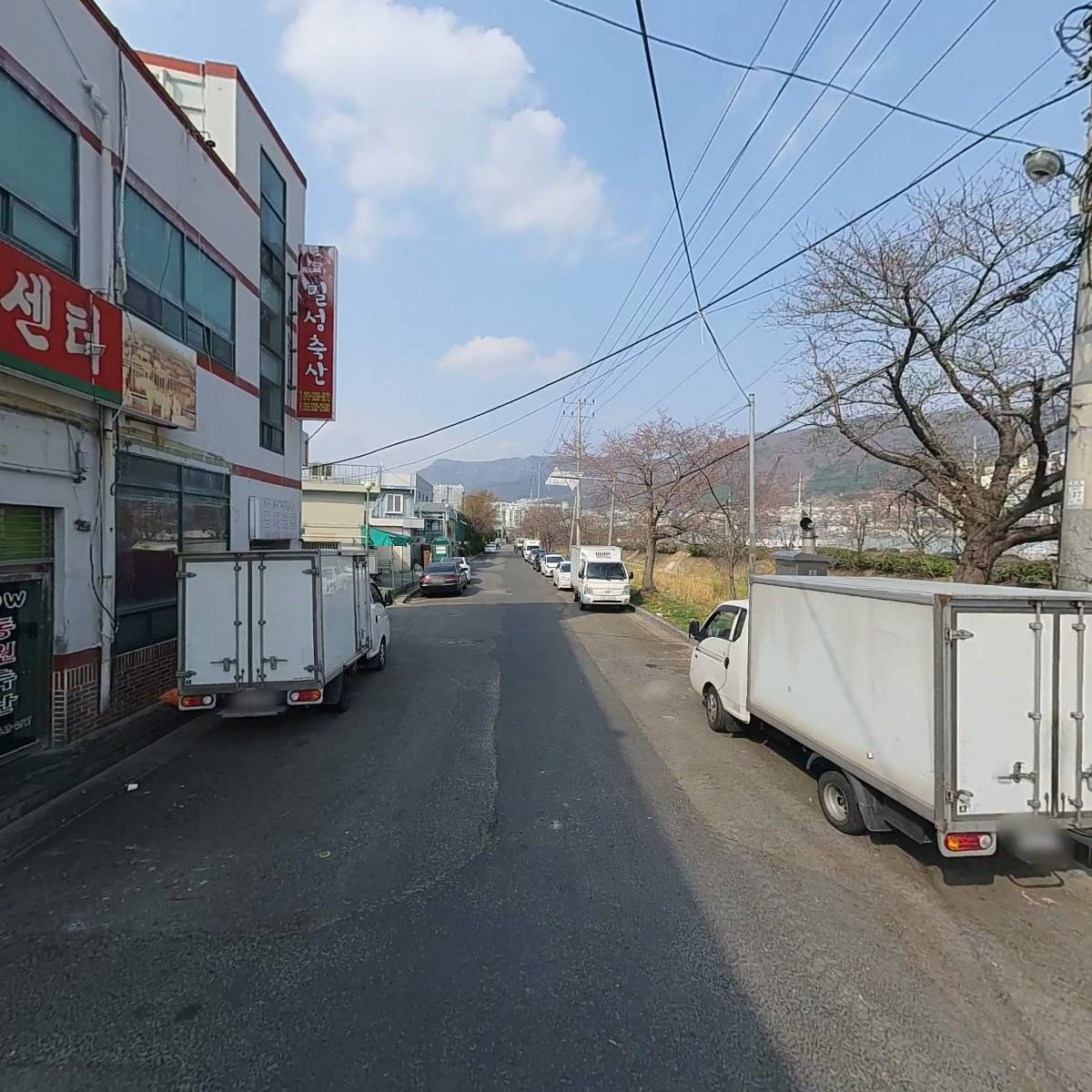 고기날다_2