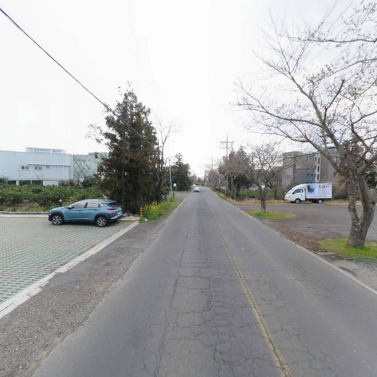 카멜리아의원_2