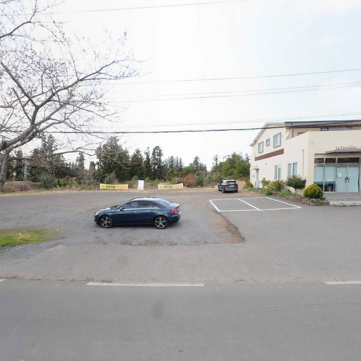 카멜리아의원_3