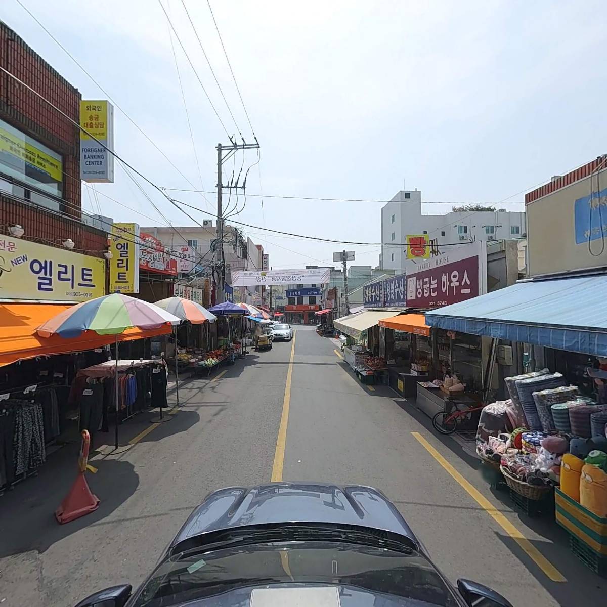 푸른야채_4