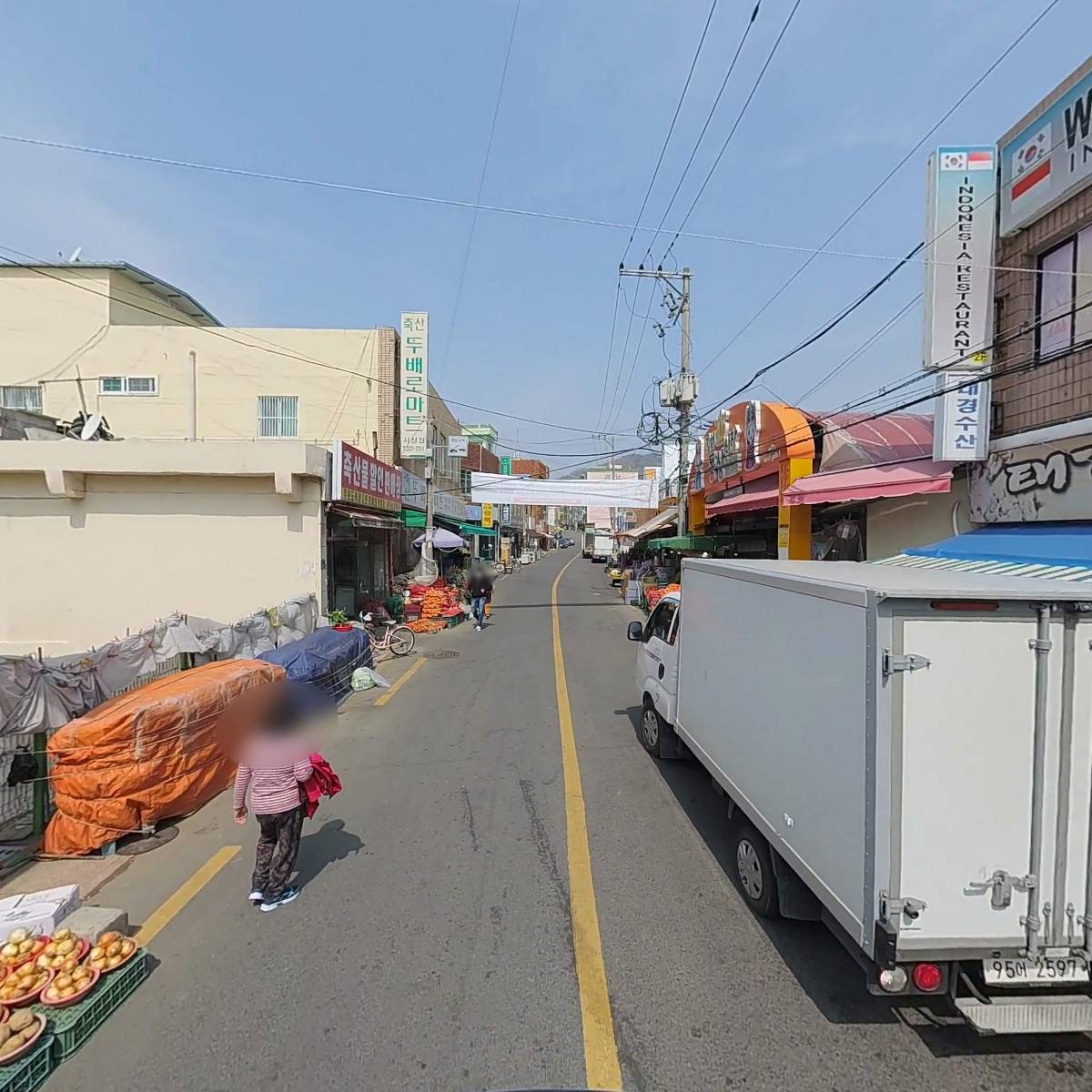 푸른야채_2