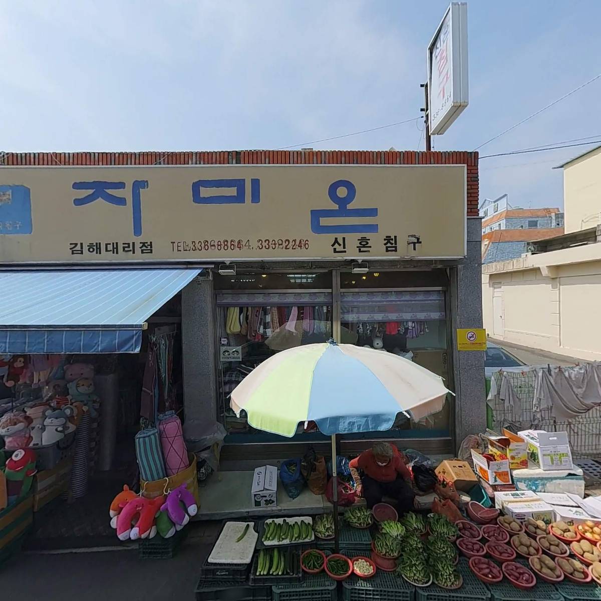 푸른야채