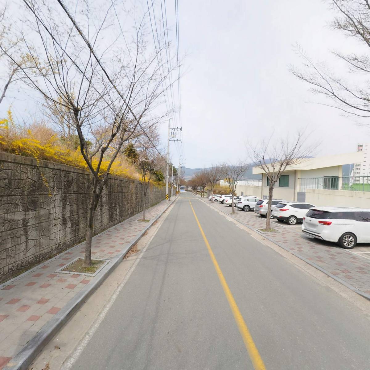 구례군 테니스협회_2