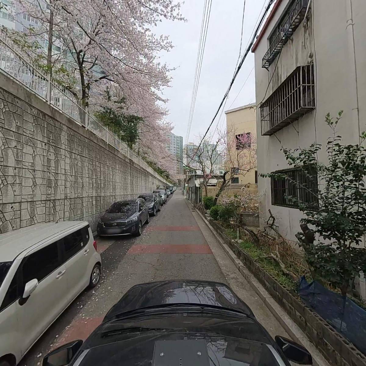 (주)부산오토바이렌트_4