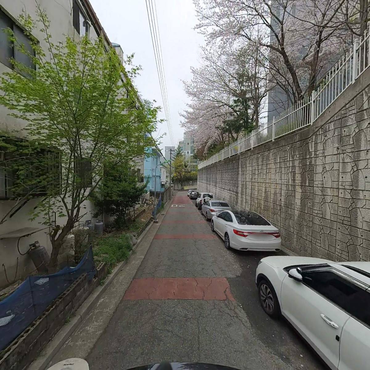 (주)부산오토바이렌트_2