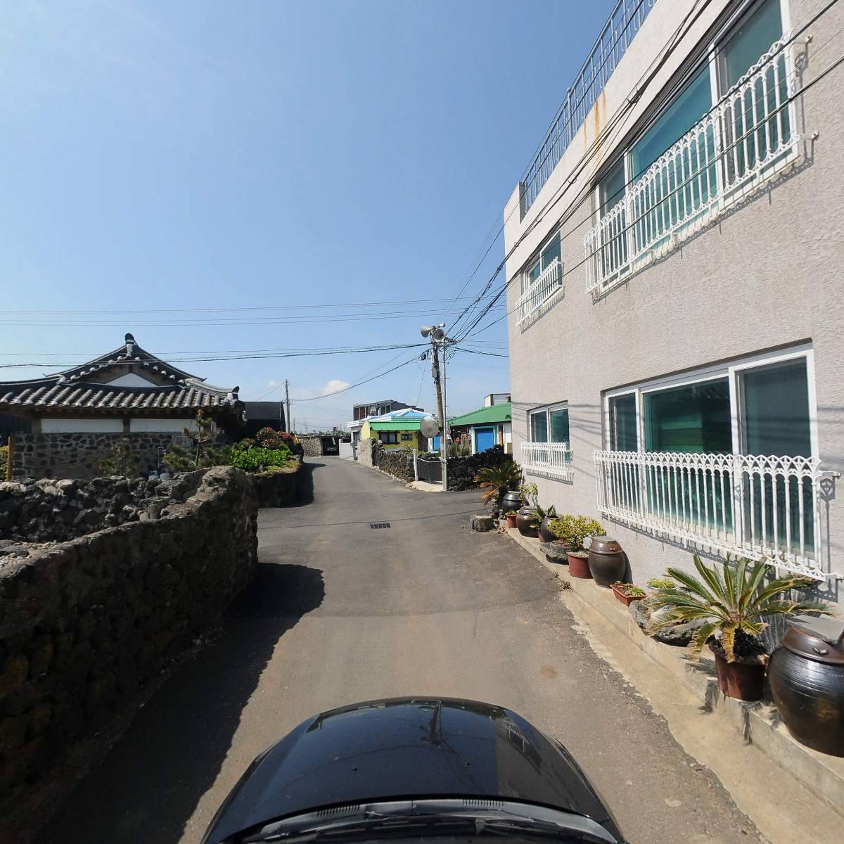 제주고가네농장(고가네팜)_4