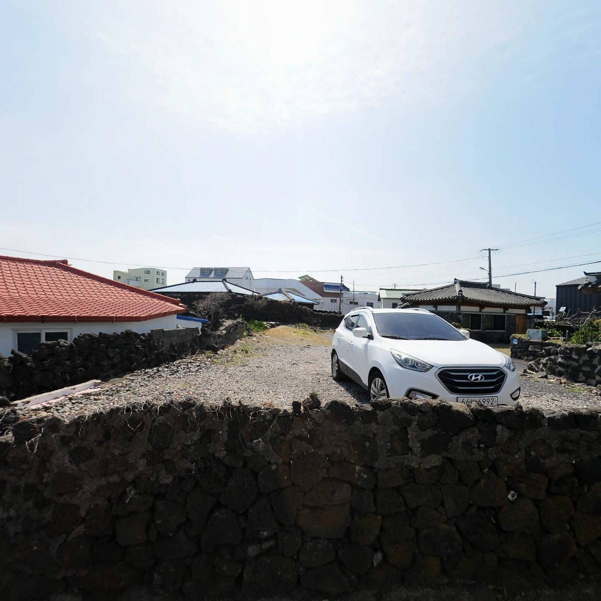 제주고가네농장(고가네팜)_3