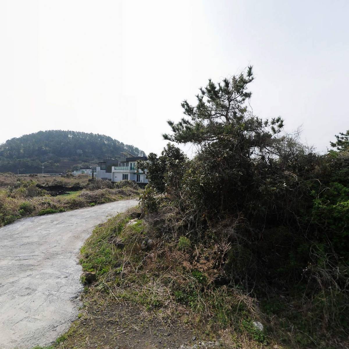 (주)알리앙스드라마카운티