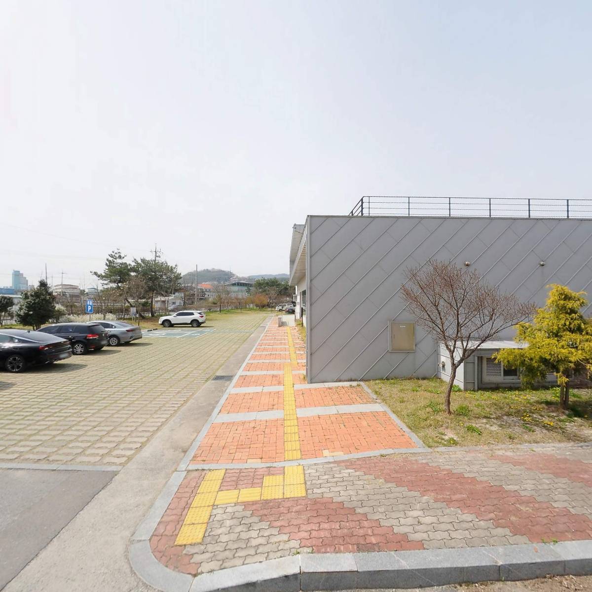 구례군씨름협회_3