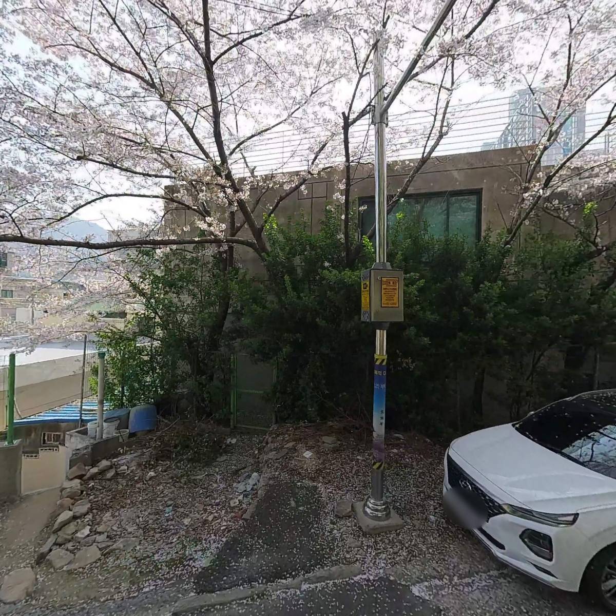 나무요가&필라테스_3