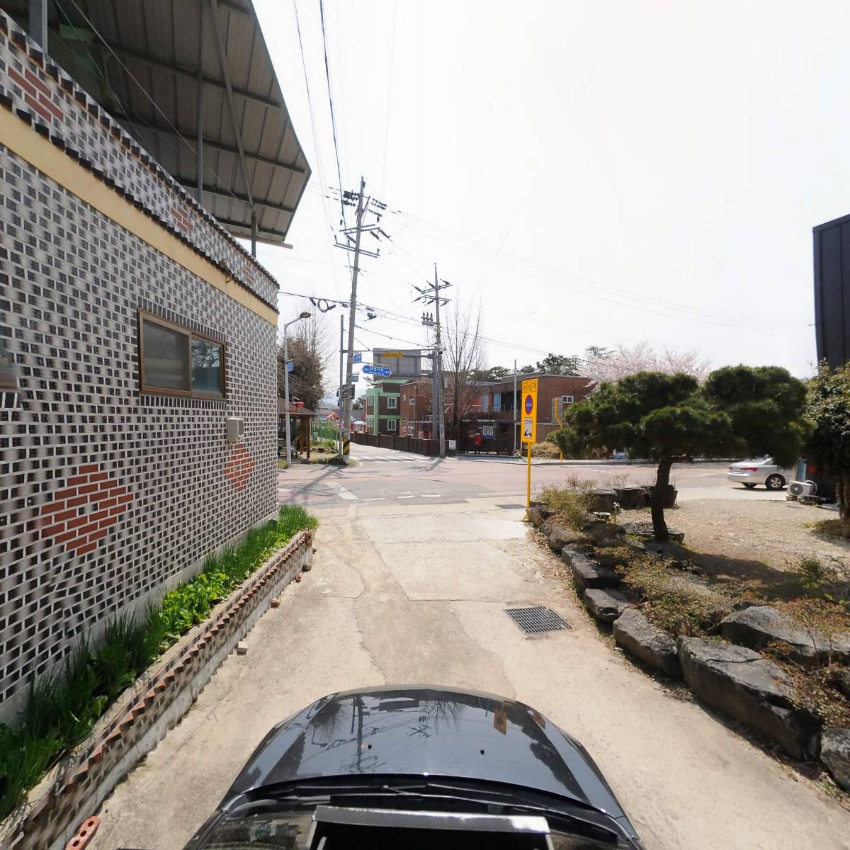 지리산꼬소부각_4