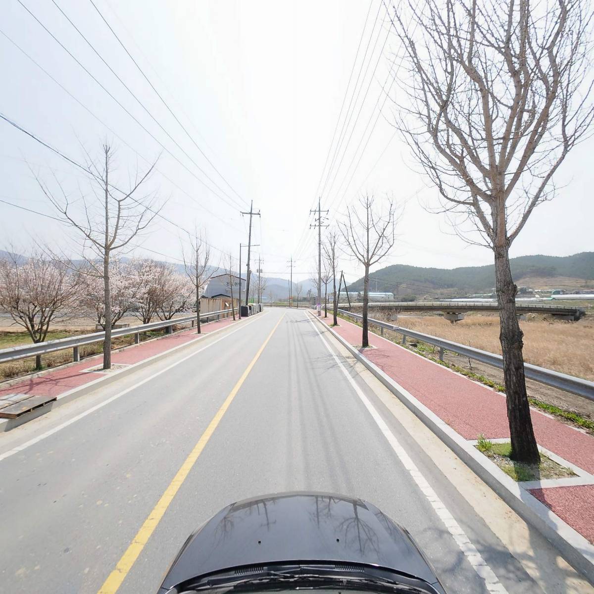 웅기장어_4