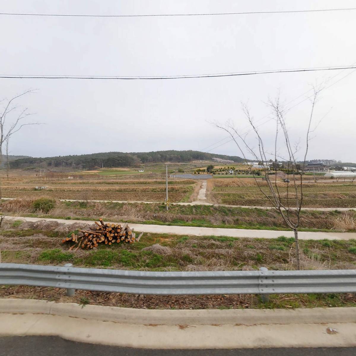 모순자민물장어
