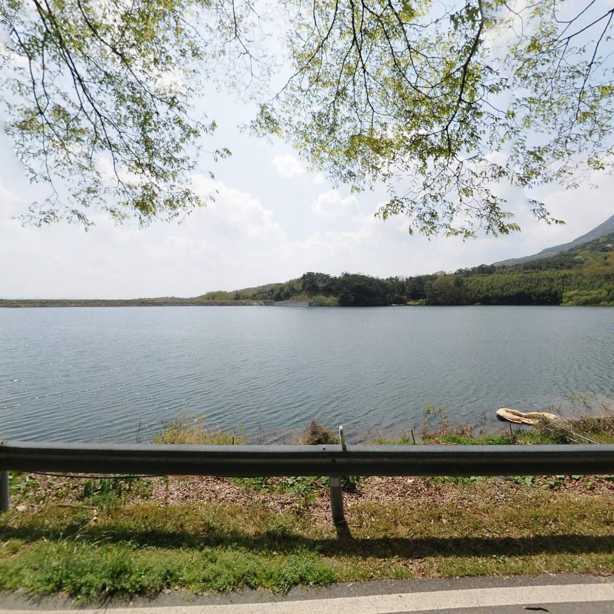병풍산자락느티나무아래서