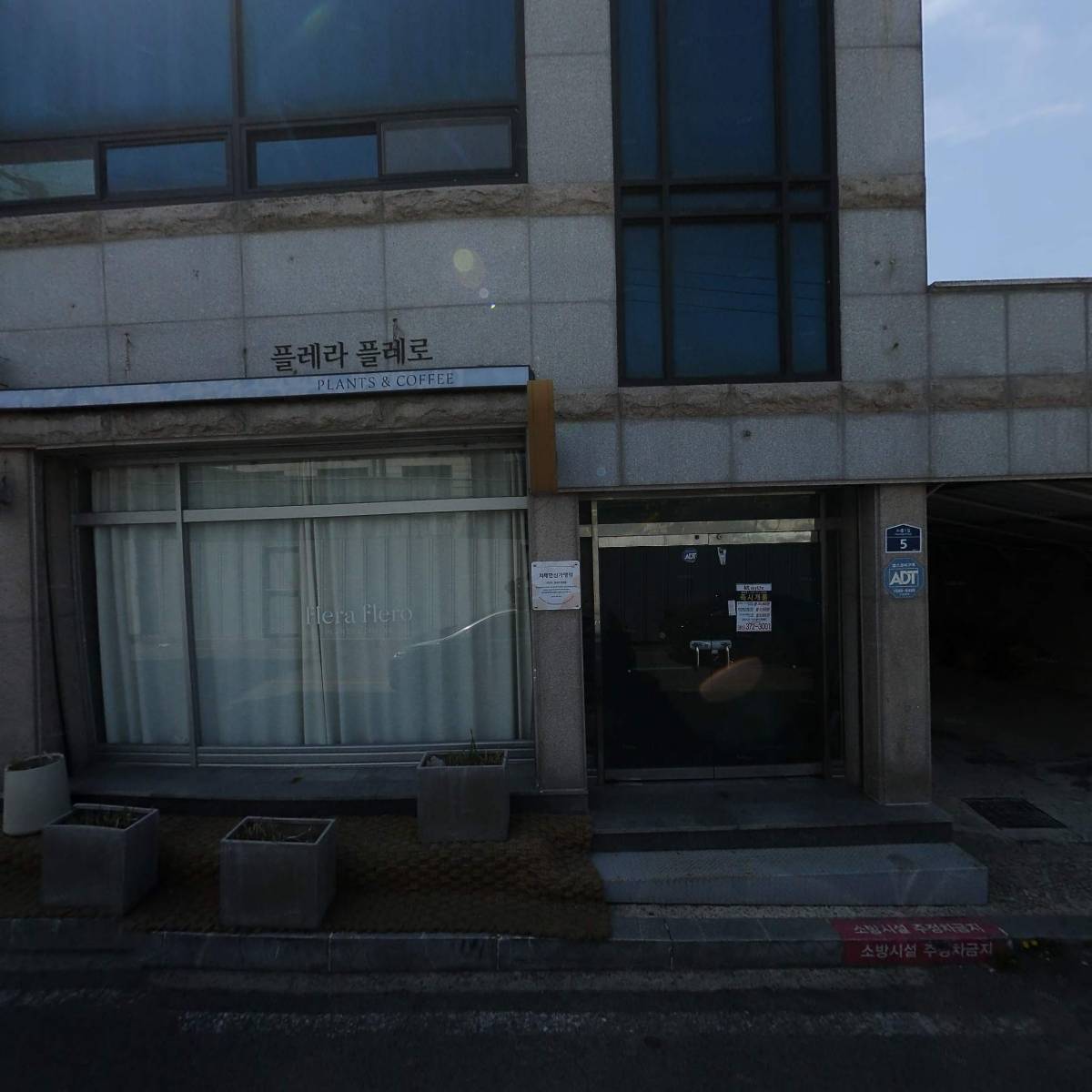 플레라플레로