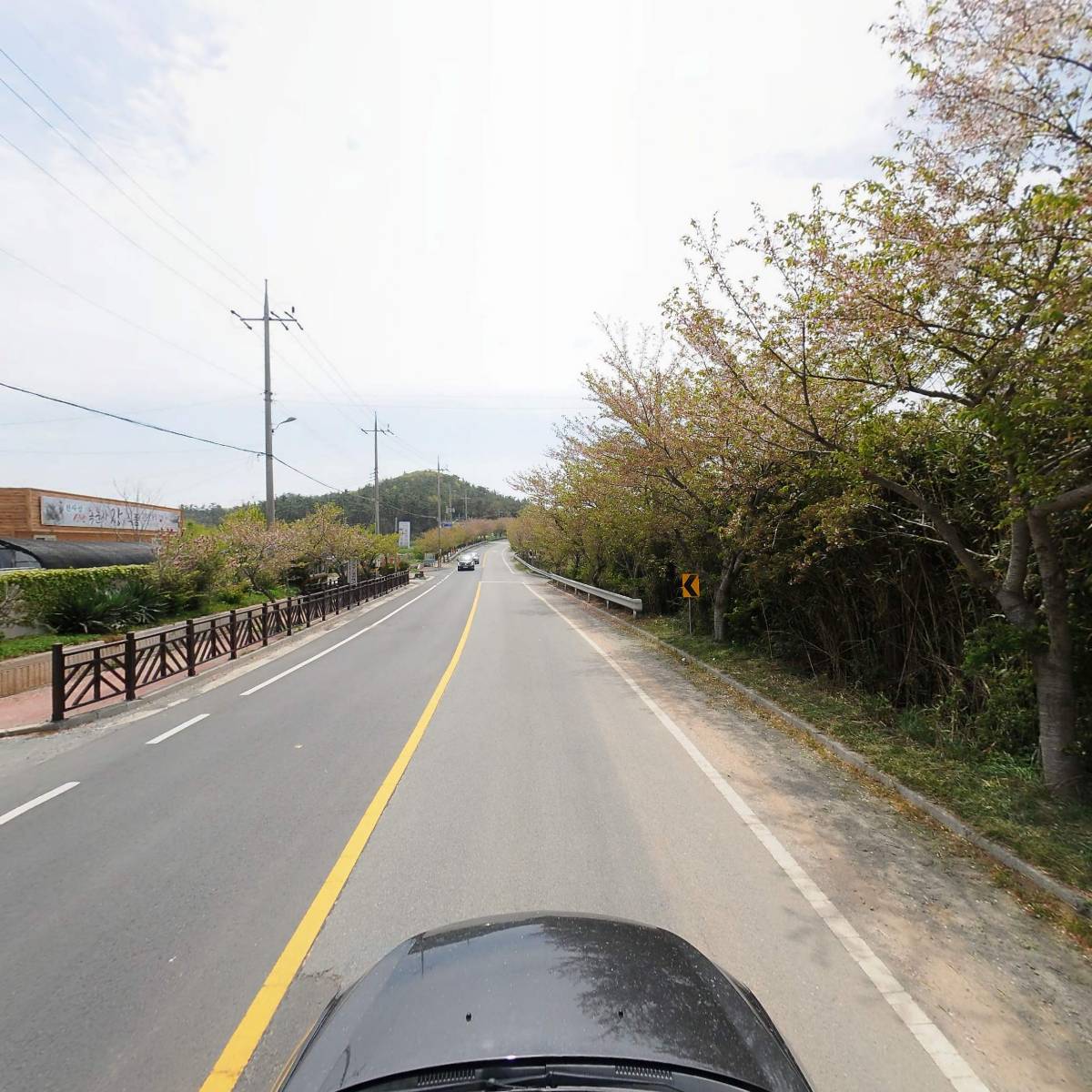 신안선구와이어_4