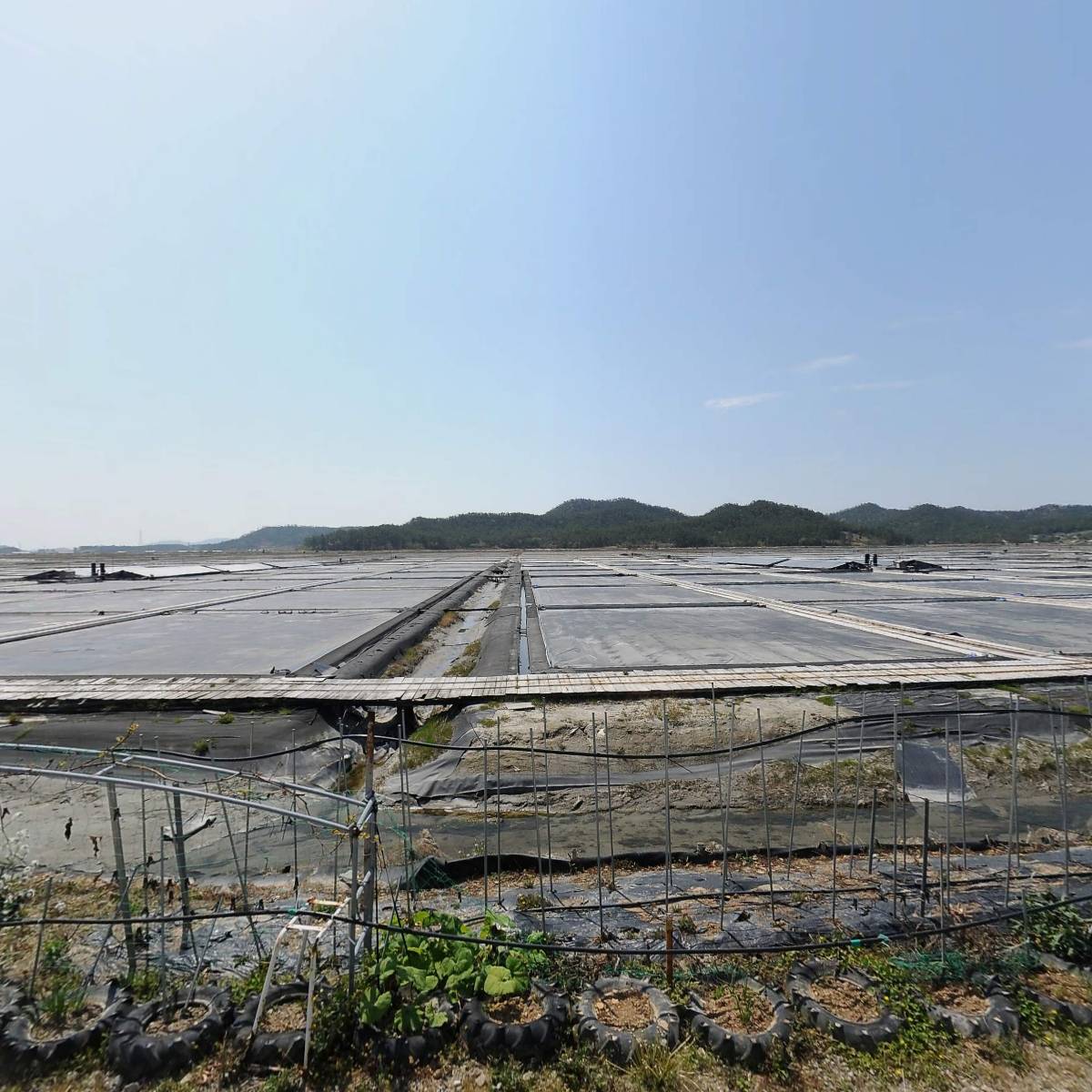 신평염업사_3