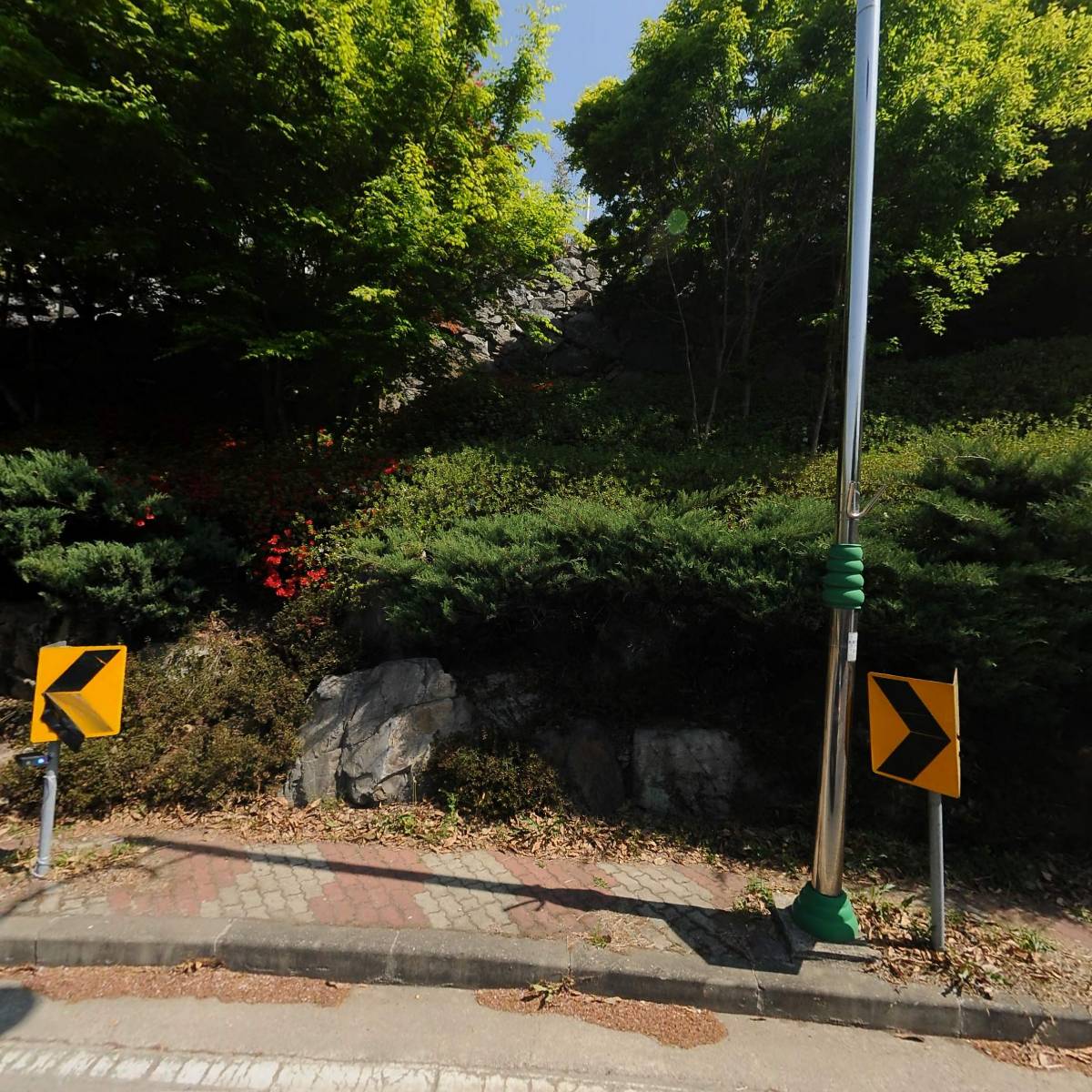 벽오동화순점