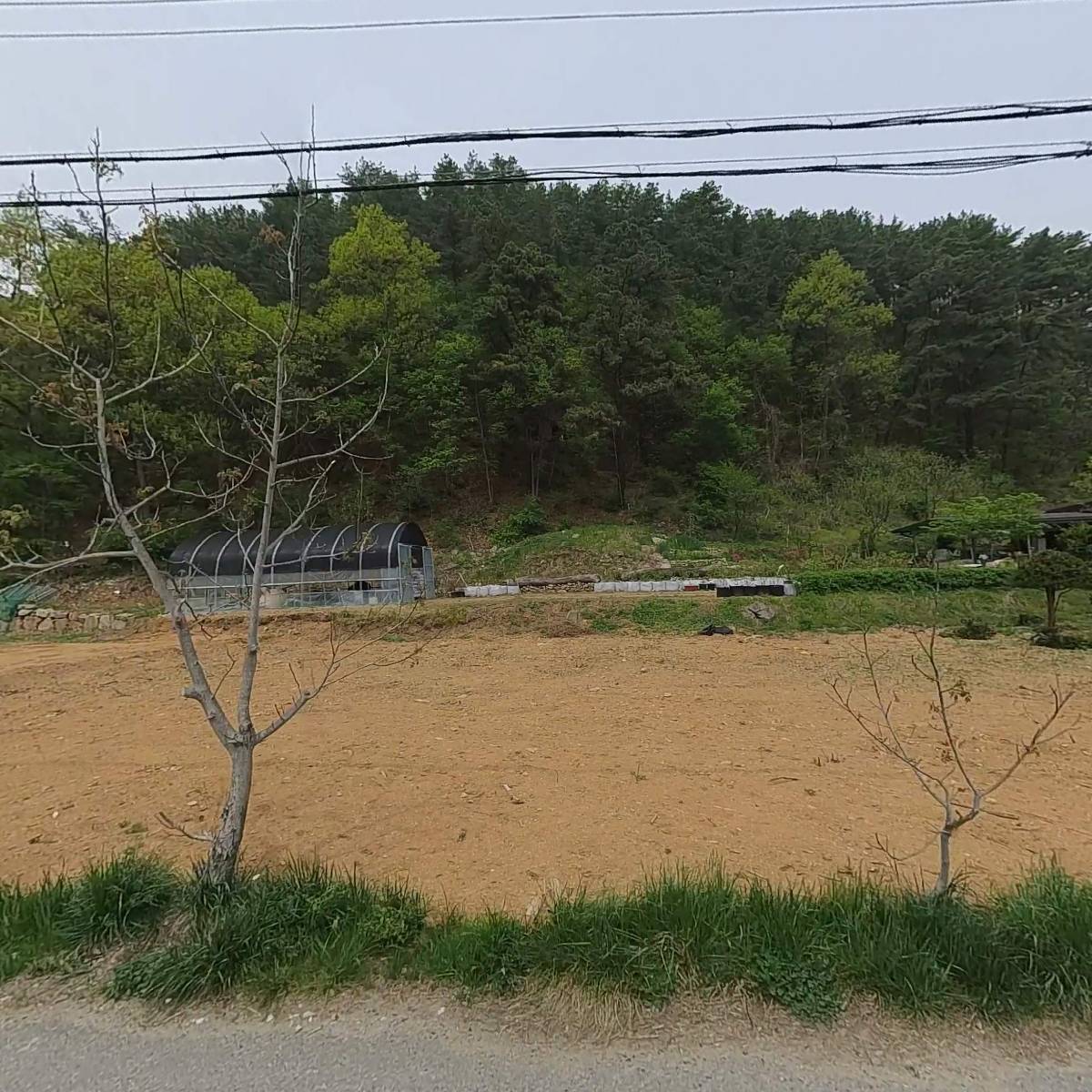 세실건업,세실농원