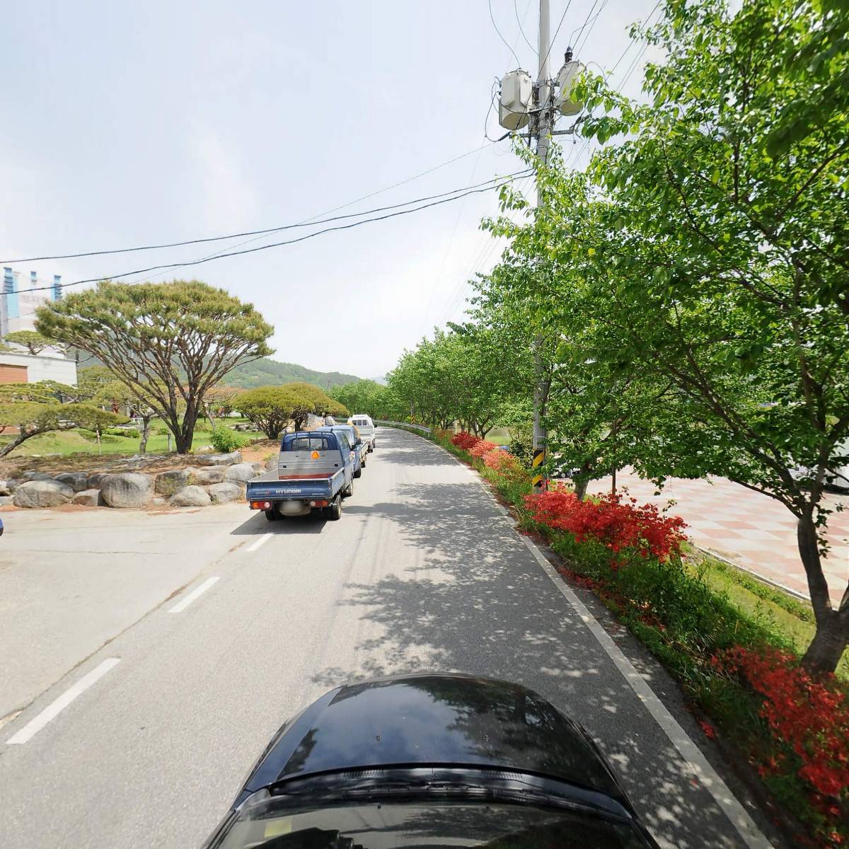 석곡돼지한마리_4