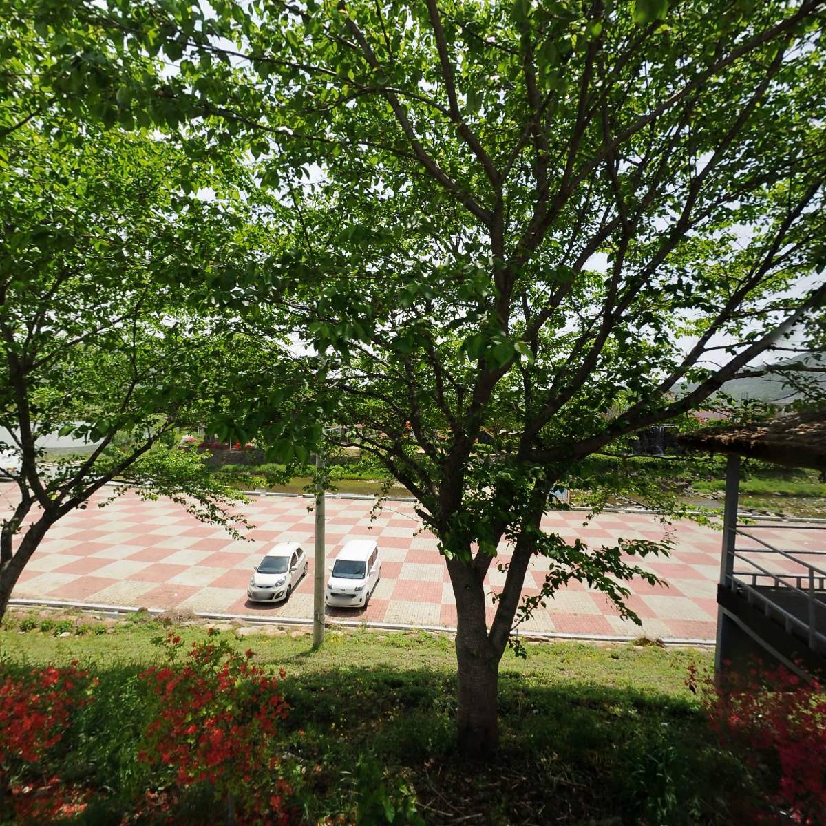 석곡돼지한마리