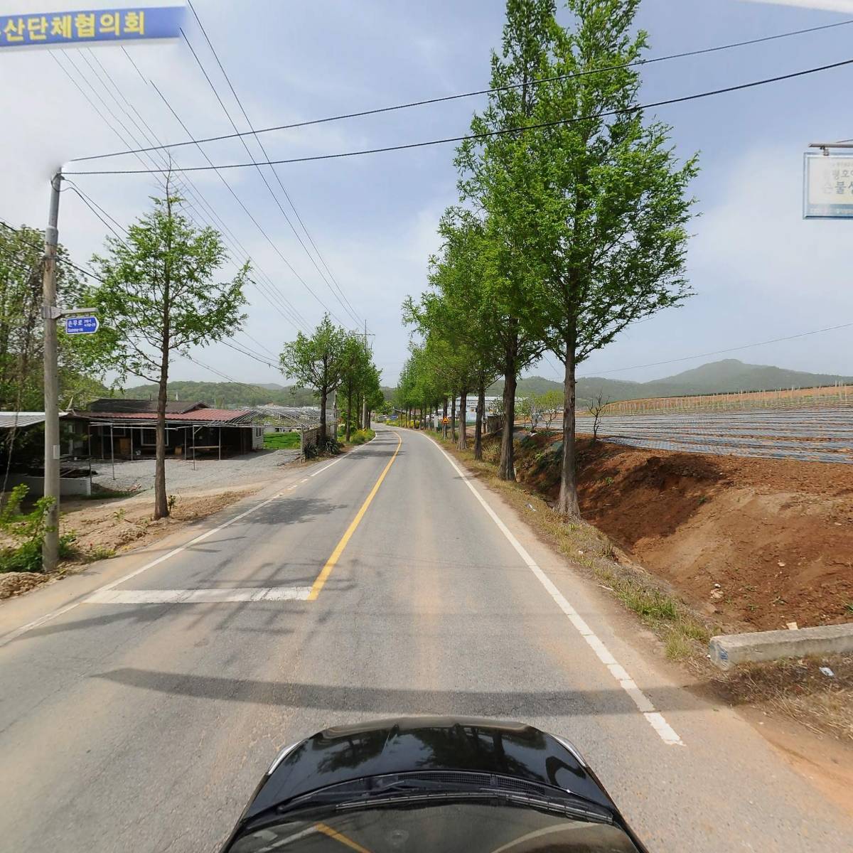 금토일 잔디.조경_4