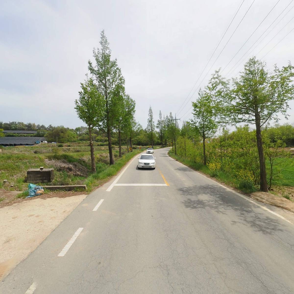 금토일 잔디.조경_2