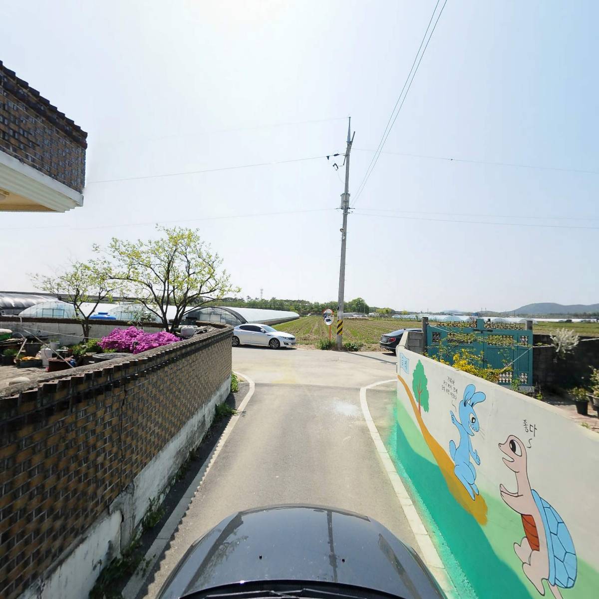 스윗볼 영농조합법인_4