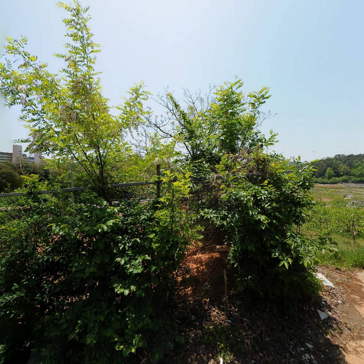 내영(주)