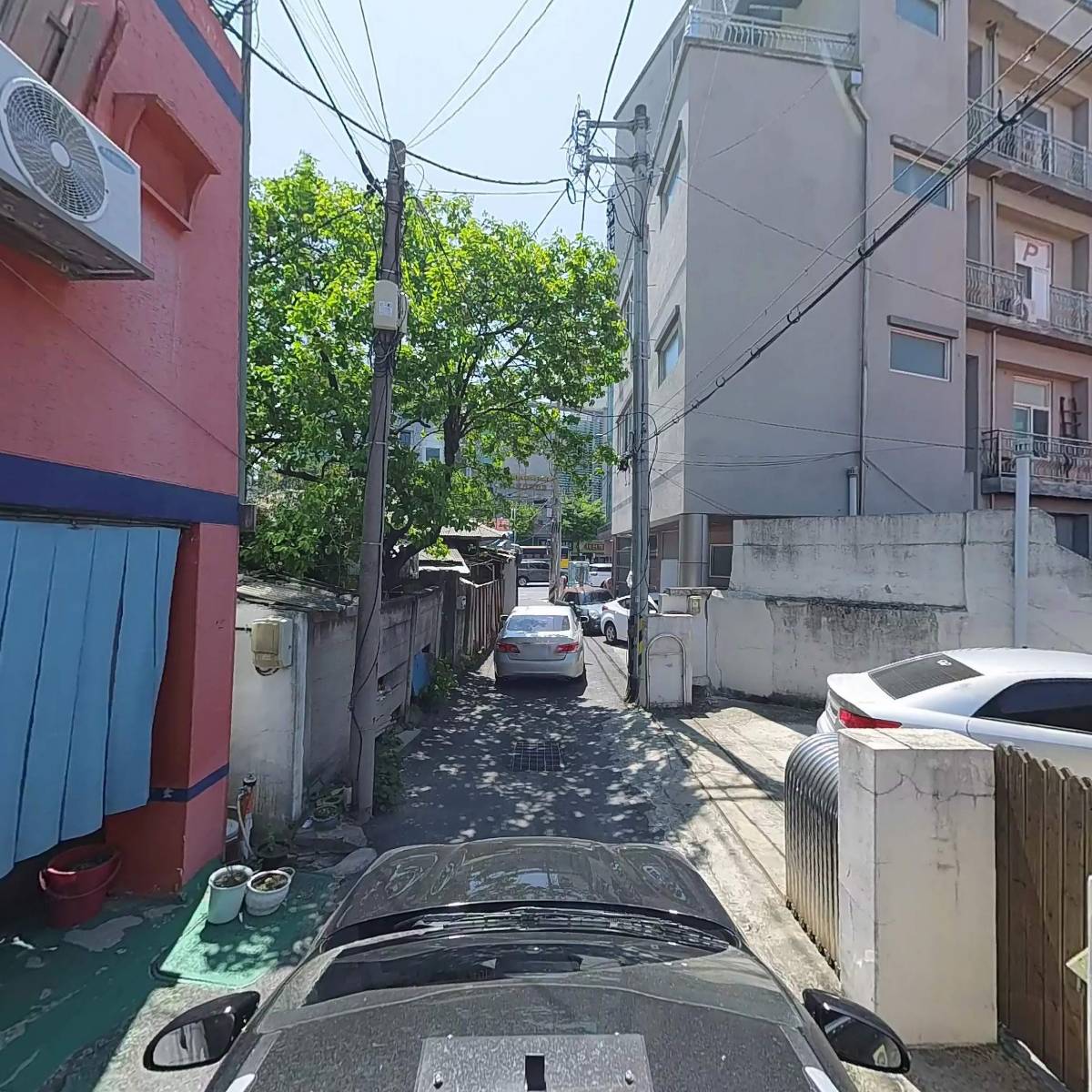 지센대전도마점_4