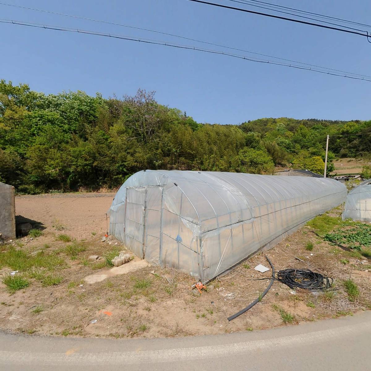 대노 함평군지회 손불면분회 사기경로당