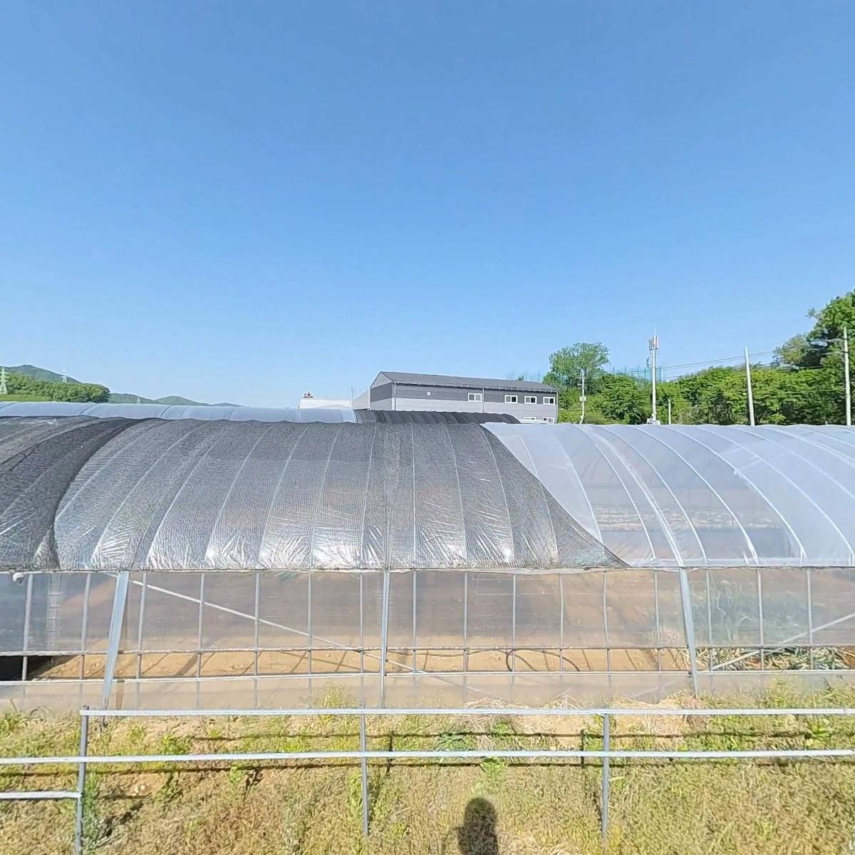 온양농업협동조합온주지점_3