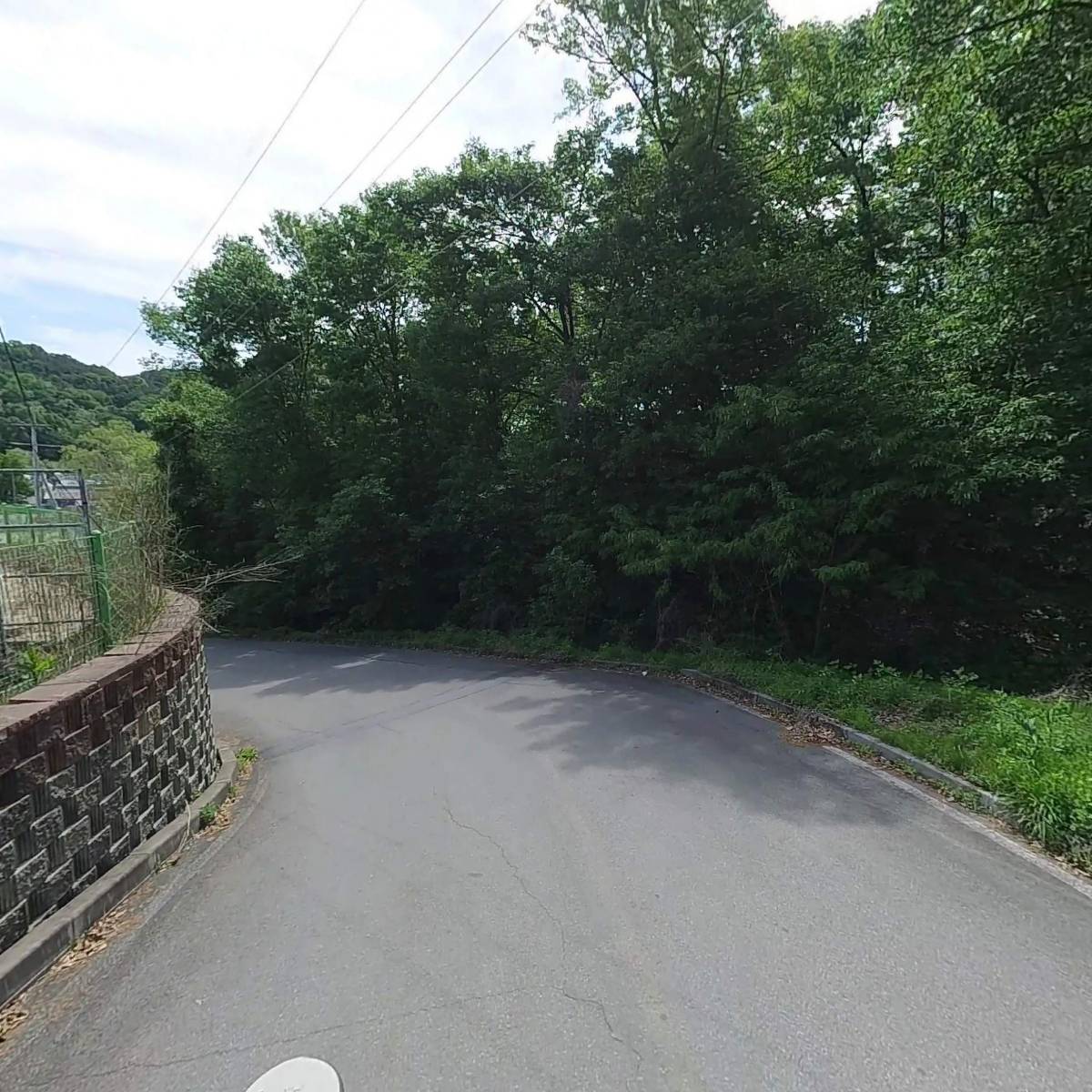 플래노프_2