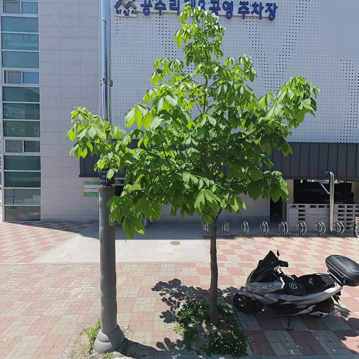 택이네조개전골배방점