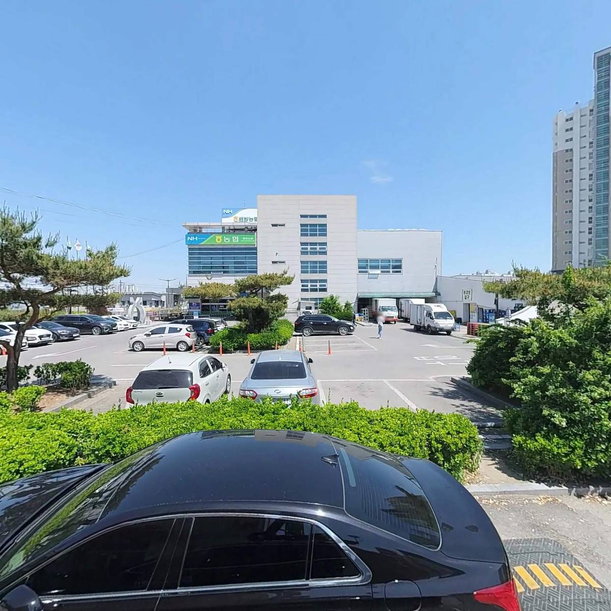 삽교곱창