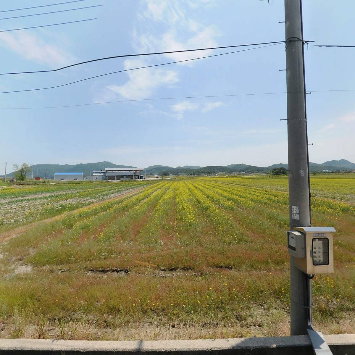 준호수산영어조합법인_3