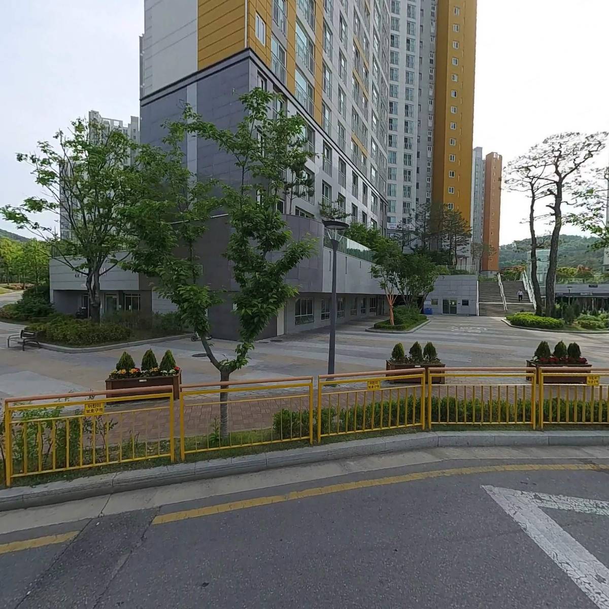 로웰여시콩