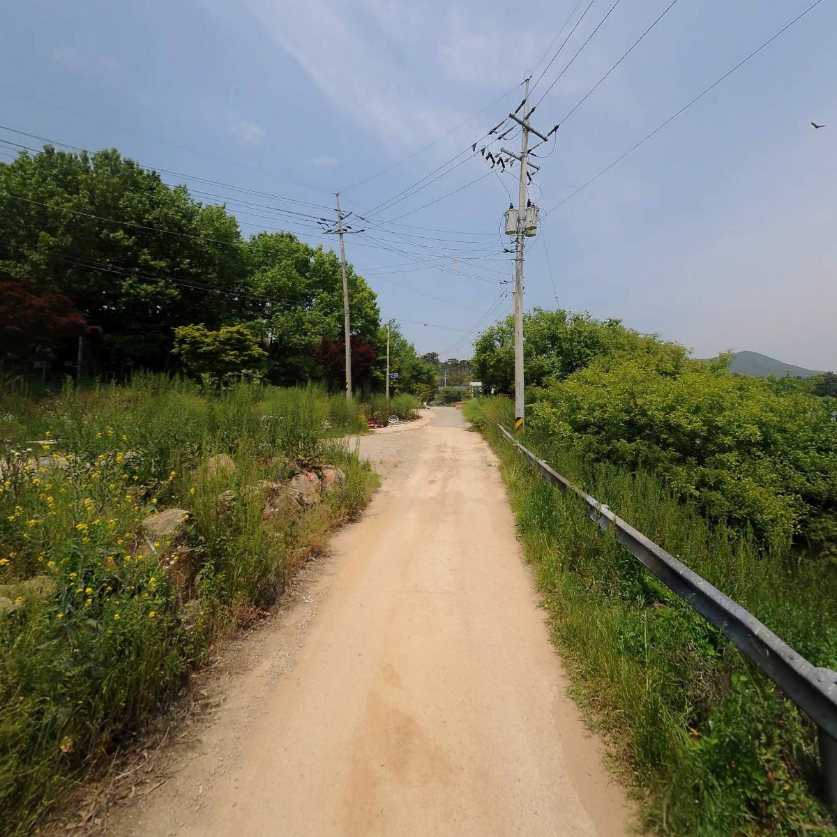 성일농장(주)농업회사법인_2