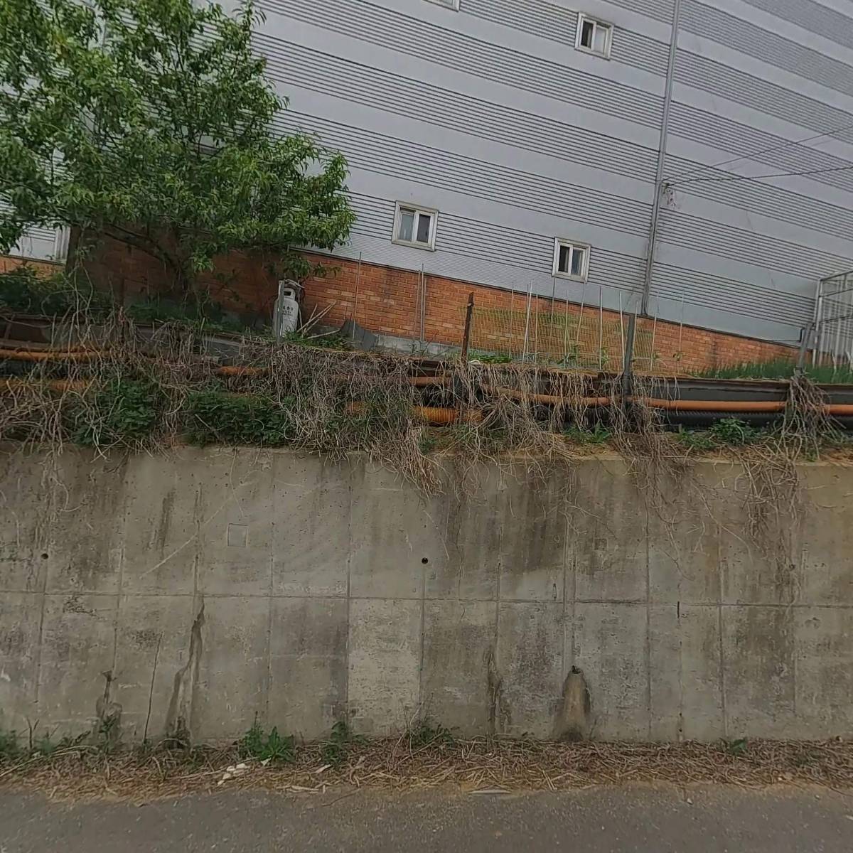 유한회사일광모타
