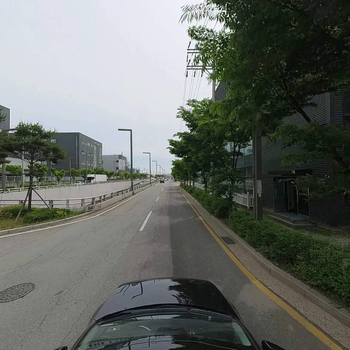 로하스 커튼_4