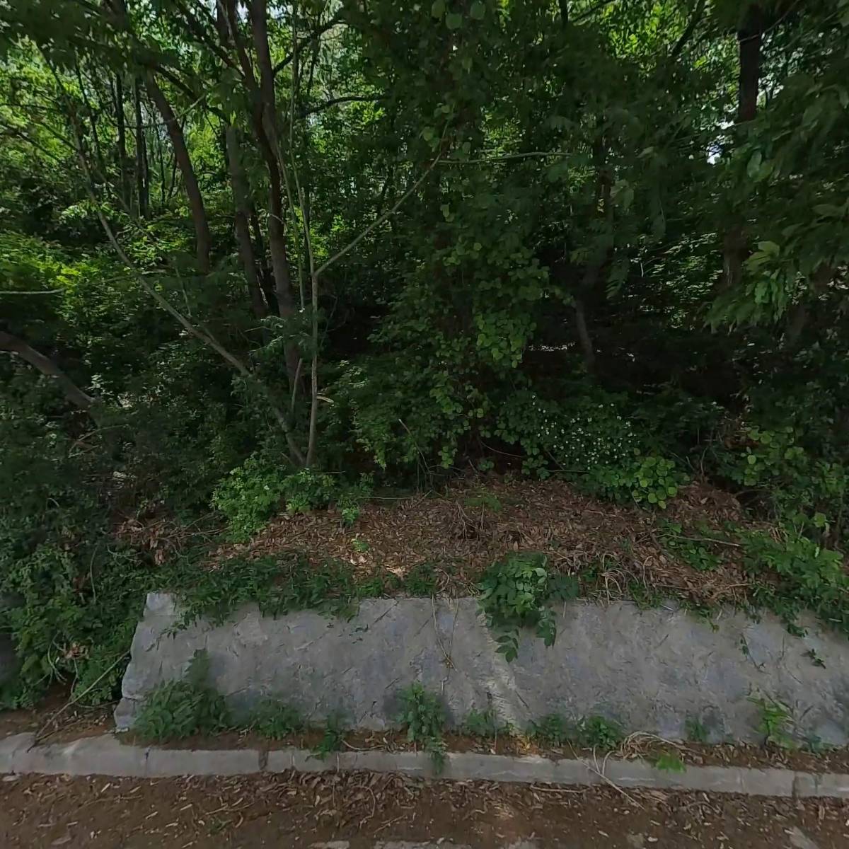 태창아이엔디(주)