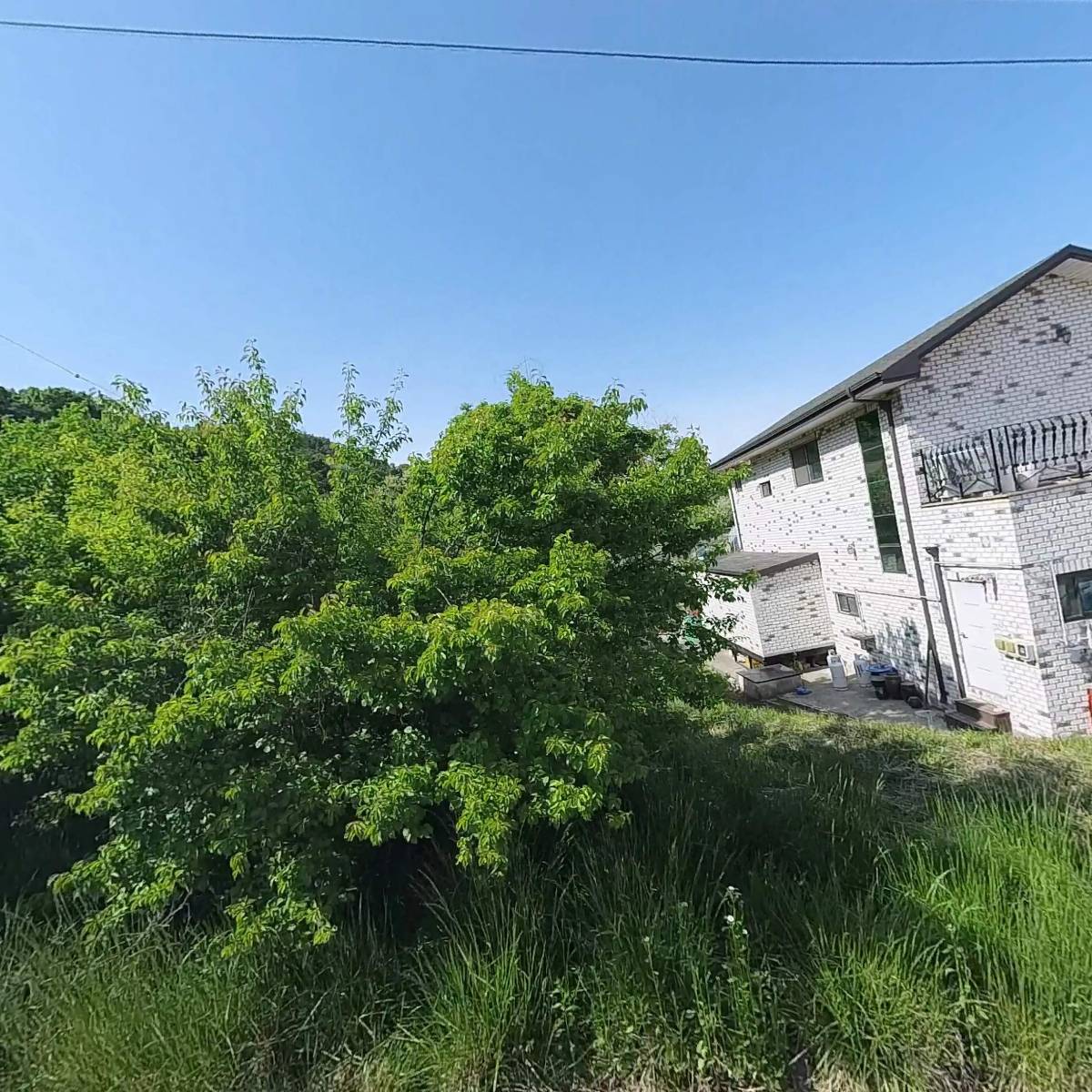 산야초산장