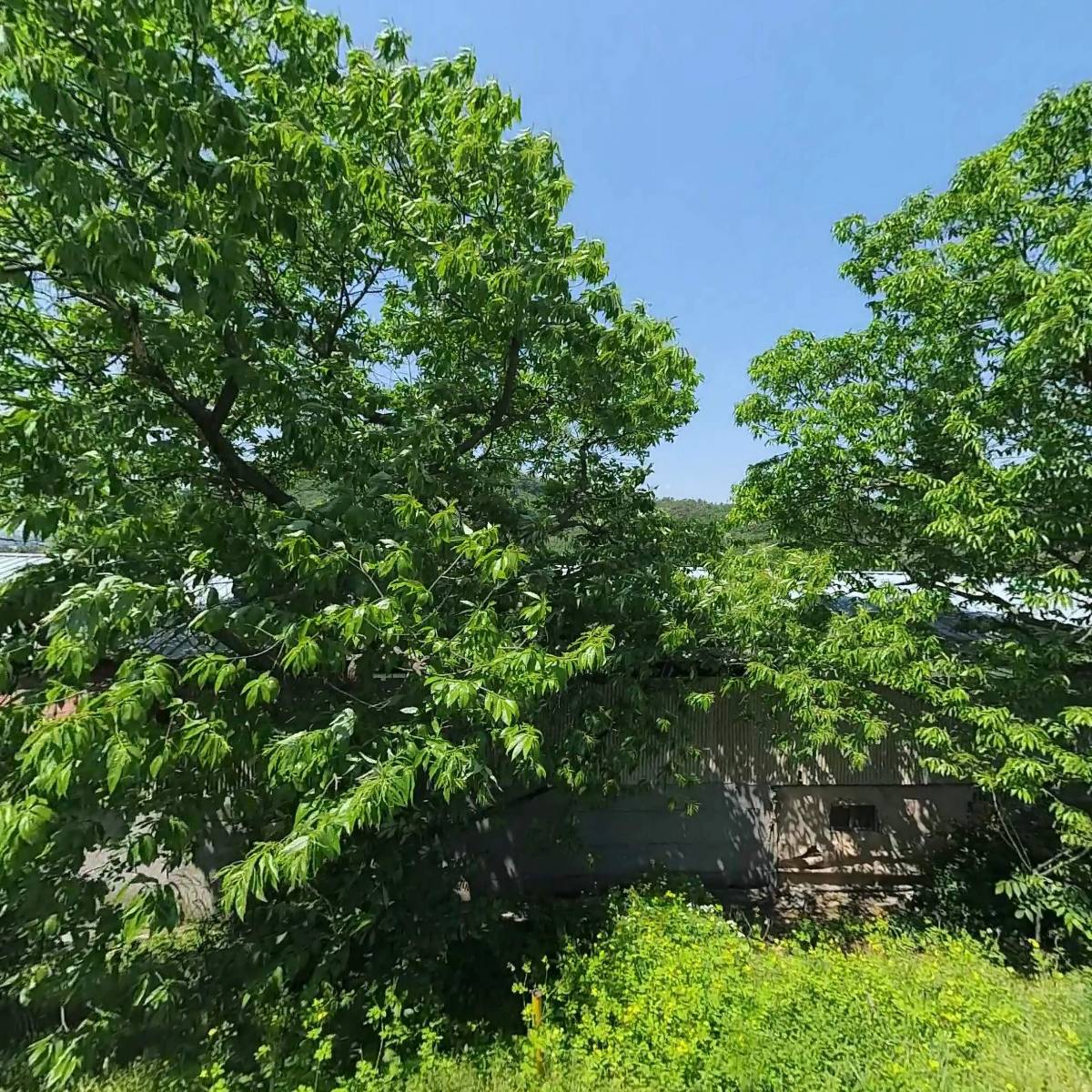 (주)코리아씰팩