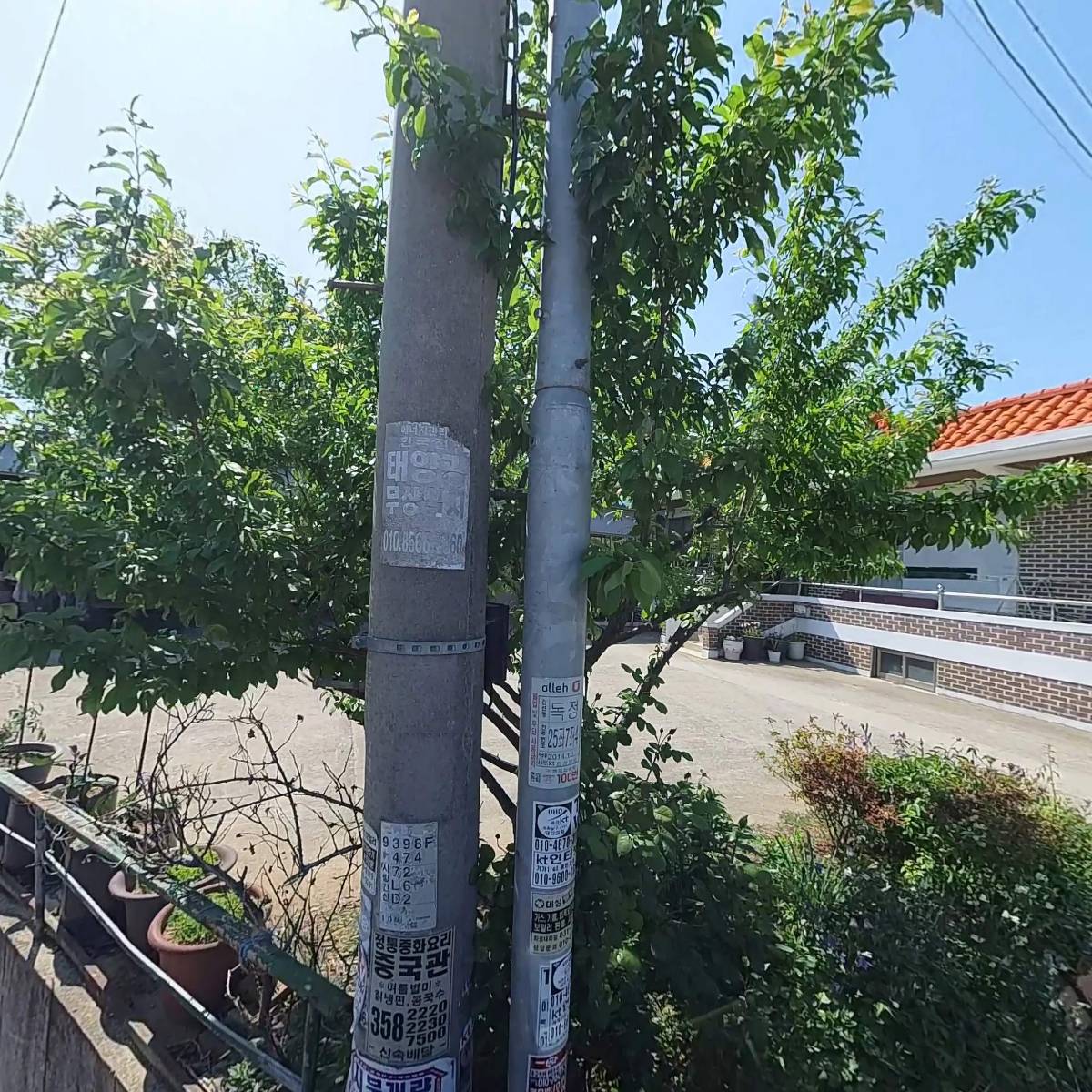 둥둥이네 약초농원_3
